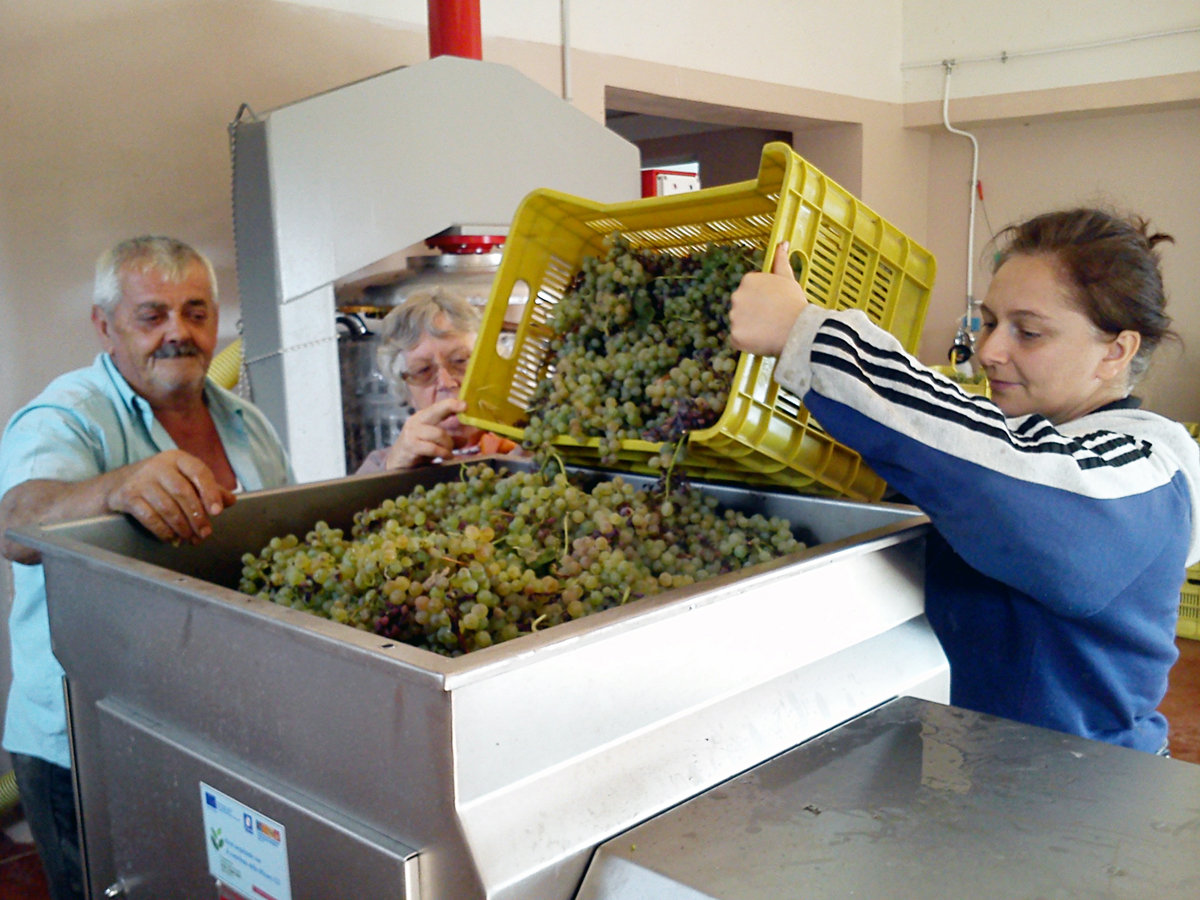 r-Fosso-degli-Angeli--Lavorazione-2