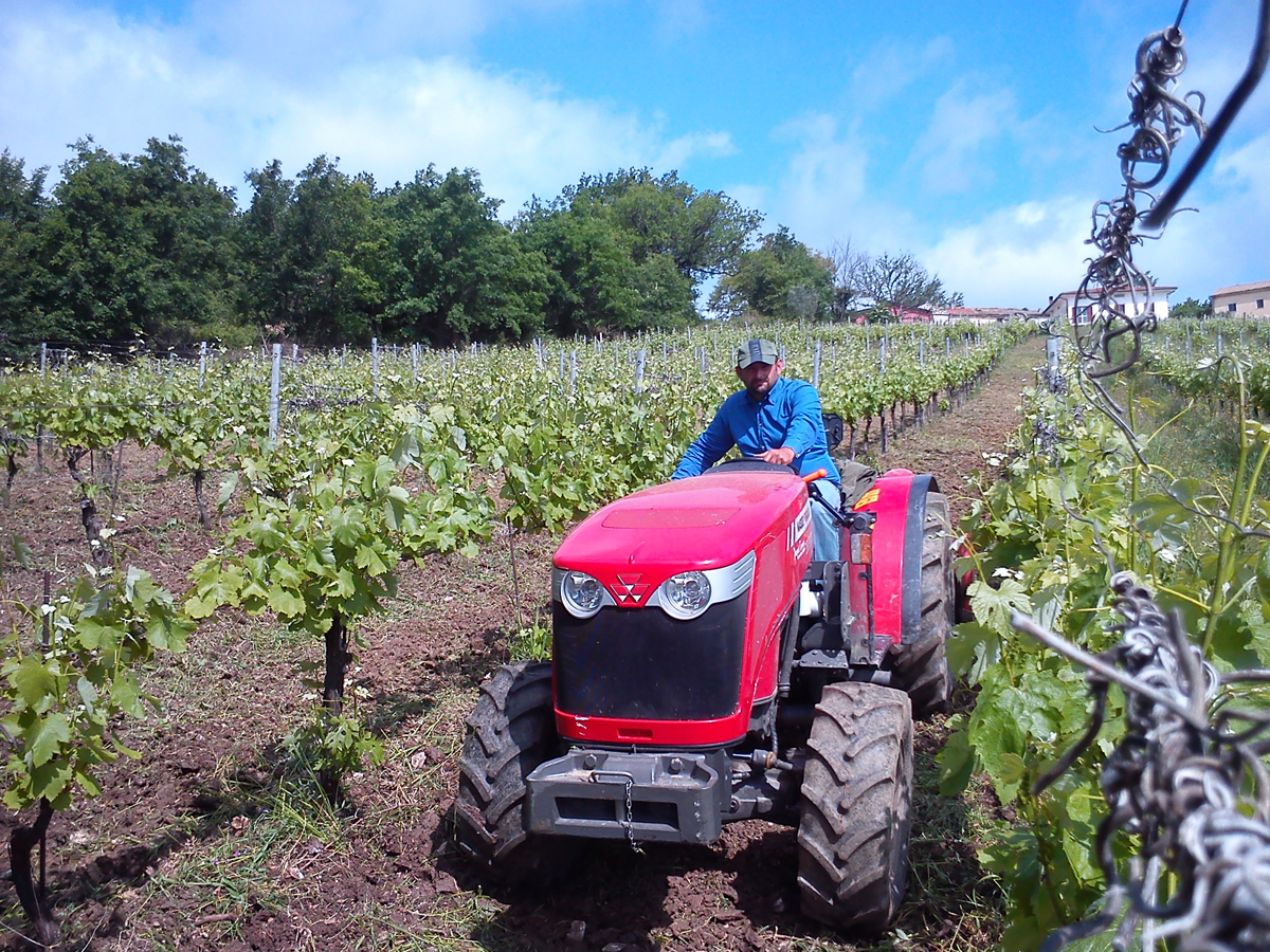 r-fosso-degli-angeli-lavori-vigneto