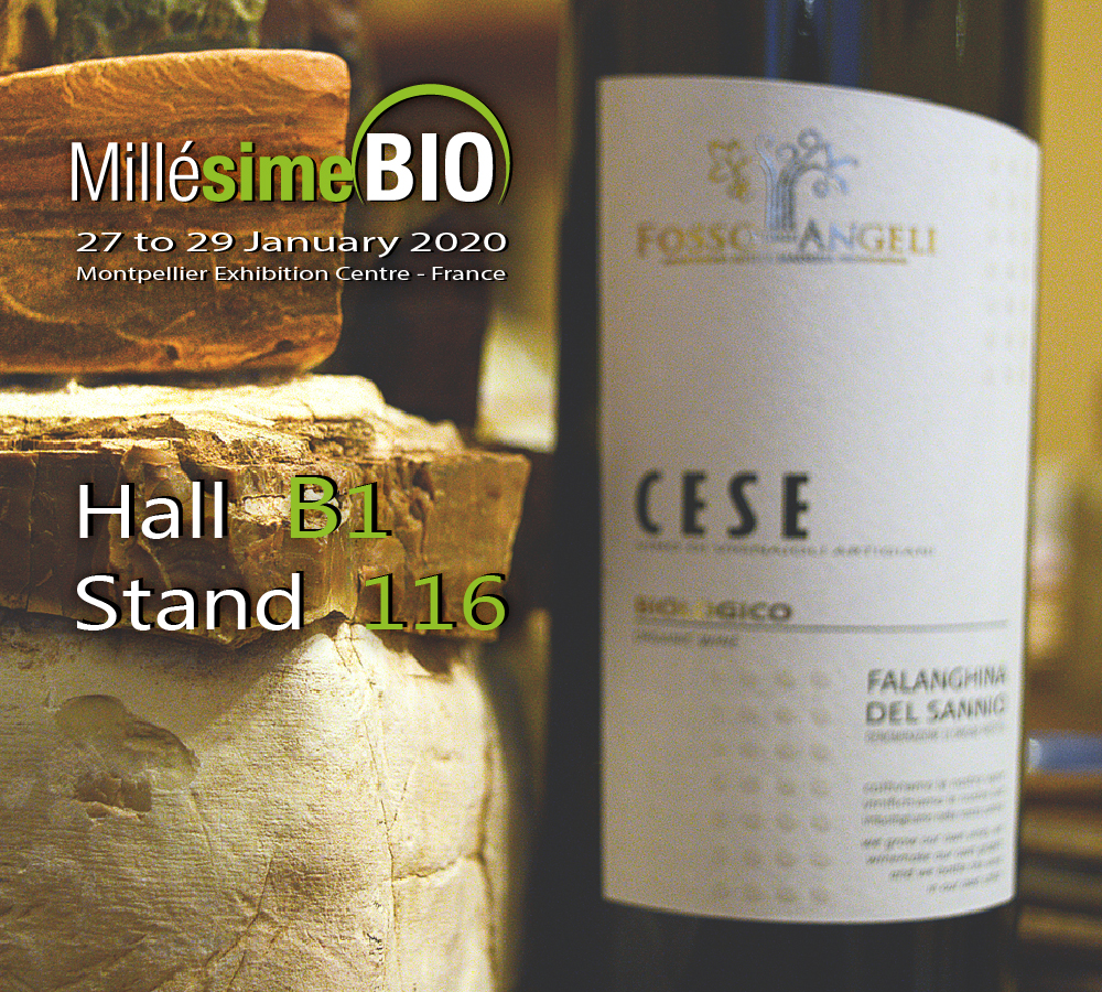 millesime-bio-hall-b1-stand-116-Fosso-degli-Angeli