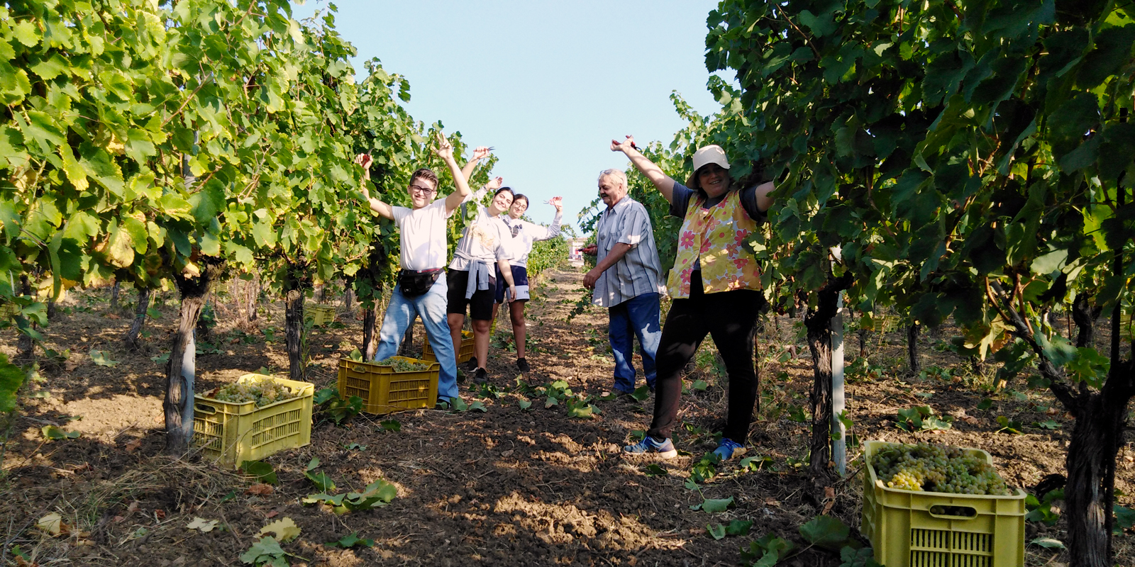 vendemmia-2020-fossodegliangeli-1600×900