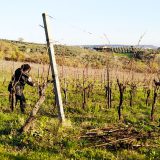 pota-2-fossodegliangeli-a