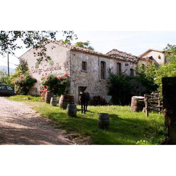 agriturismo borgo cerquelle