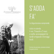 degustazione in cantina fosso degli angeli