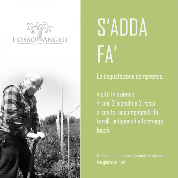 degustazione in cantina fosso degli angeli