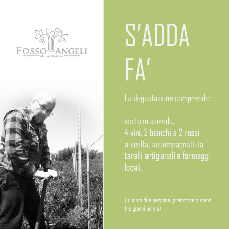 degustazione in cantina fosso degli angeli