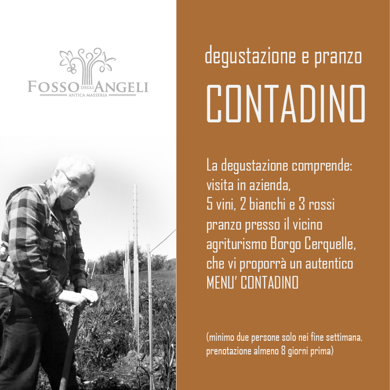 degustazione in cantina fosso degli angeli
