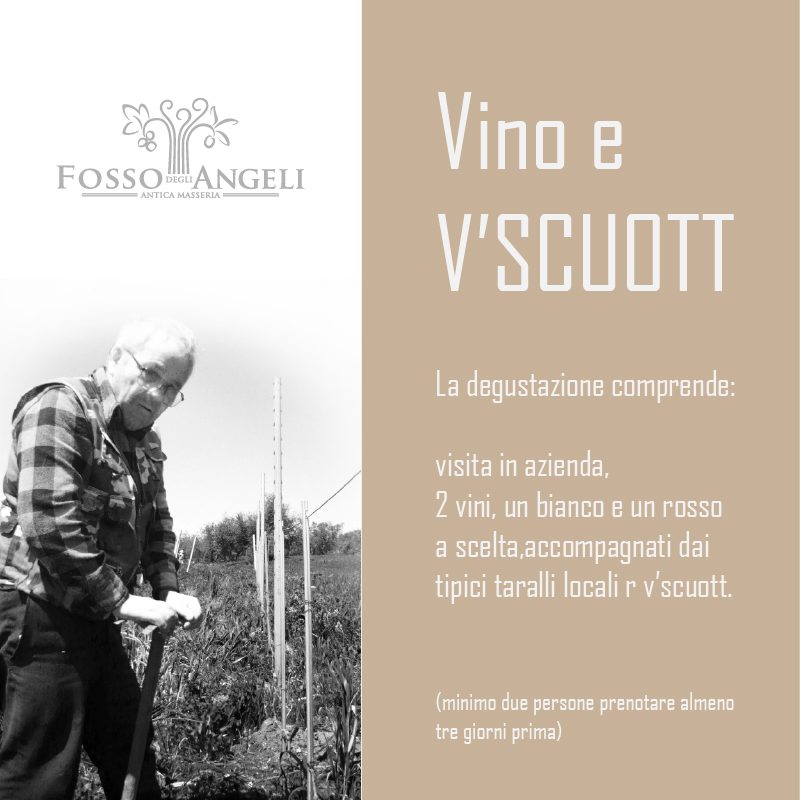 degustazione-vscuot tarallucci e vino